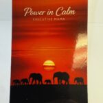 Power in Calm – Inspirational Elephant Sticker